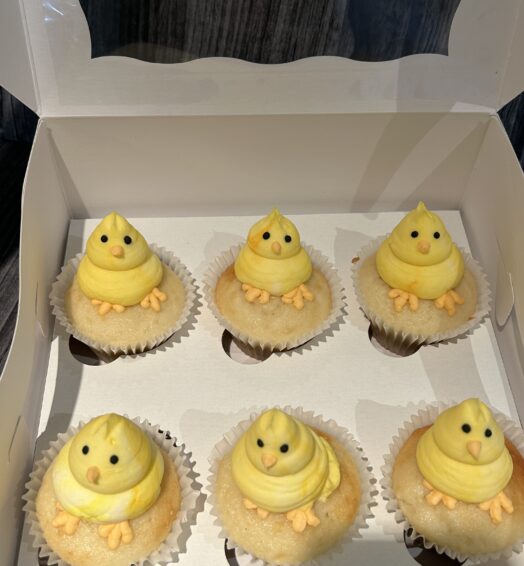 Themed Cupcakes – Chicks