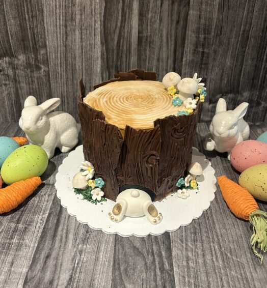 Themed Cake – Tree Stump