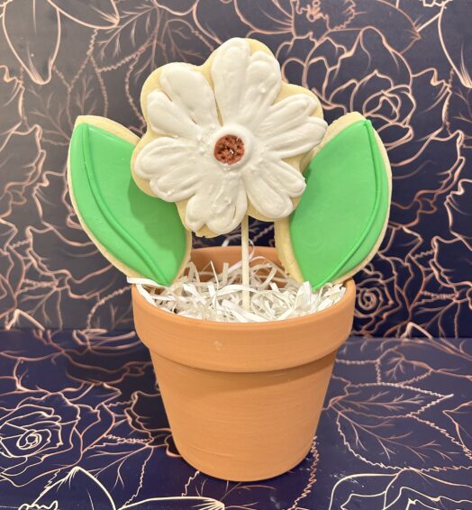 Sugar Cookie Flower Pot